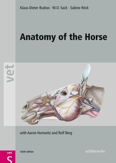 Image of - Anatomy of the Horse | 6th Edition | Hardcover