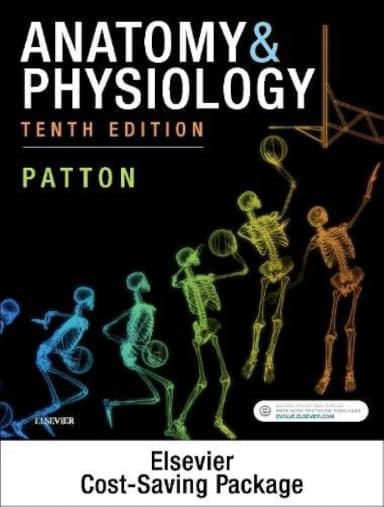 Image of - Anatomy and Physiology Binder Ready Package | 10th Edition | Paperback