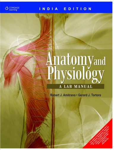 Image of - Anatomy and Physiology A Lab Manual (IE)