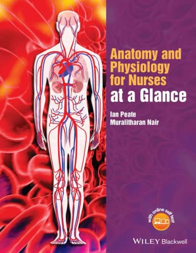 Image of - Anatomy and Physiology for Nursease at a Glance | Paperback