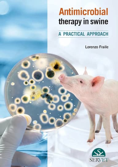 Image of - Antimicrobial Therapy in Swine A Practical Approach | Hardcover