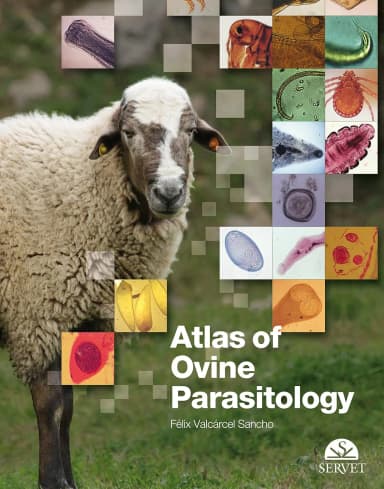 Image of - Atlas of Ovine Parasitology | Hardcover