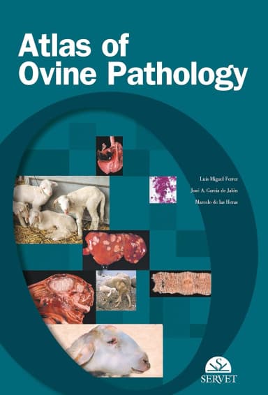 Image of - Atlas of Ovine Pathology | Hardcover