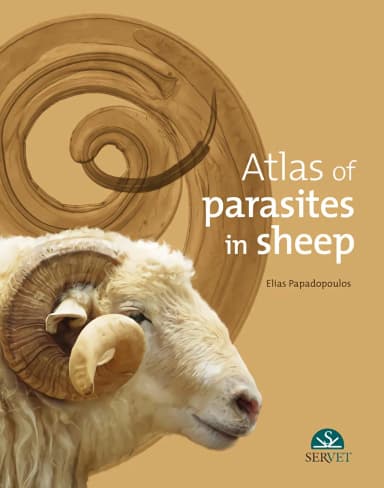 Image of - Atlas of Parasites in Sheep | Hardcover