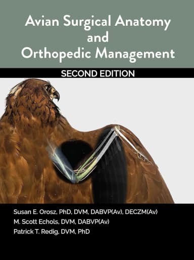 Image of - Avian Surgical Anatomy And Orthopedic Management 2nd Edition | Paperback