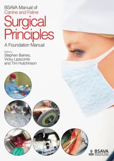 Image of - BSAVA Manual of Canine and Feline Surgical Principles A Foundation Manual | Paperback