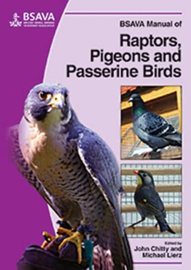 Image of - BSAVA Manual of Raptors | Pigeons and Passerine Birds | Paperback