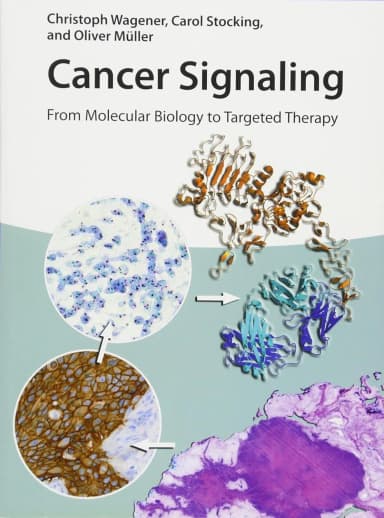 Image of - Cancer Signaling From Molecular Biology to Targeted Therapy | Paperback