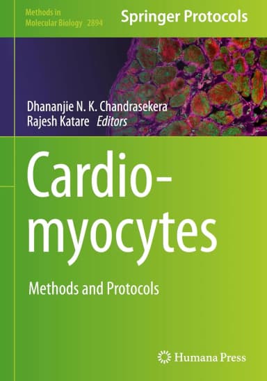 Image of - Cardiomyocytes Methods And Protocols | Hardcover