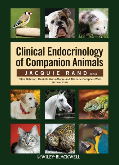 Image of - Clinical Endocrinology of Companion Animals | Paperback