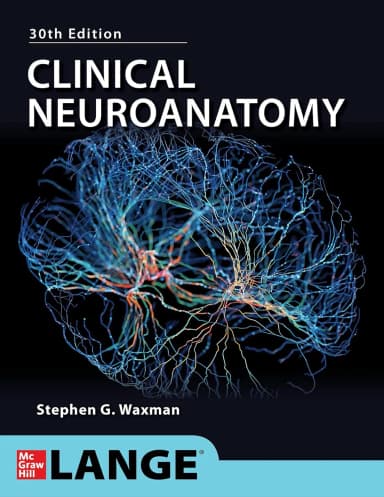 Image of - Clinical Neuroanatomy 30Ed | Paperback