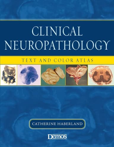Image of - Clinical Neuropathology Text and Color Atlas | Paperback