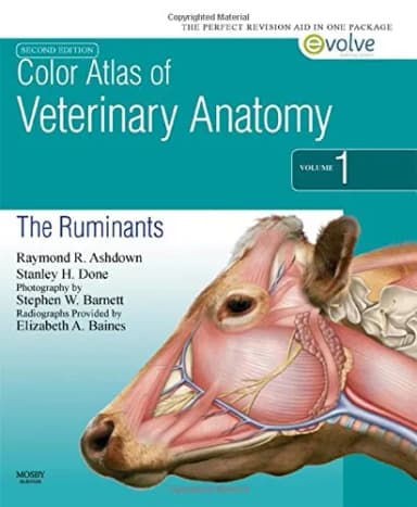 Image of - Color Atlas of Veterinary Anatomy The Ruminants | 2nd Edition | Volume 1 | Paperback