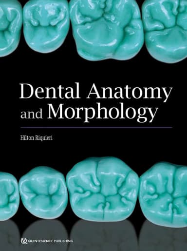 Image of - Dental Anatomy and Morphology | Hardcover