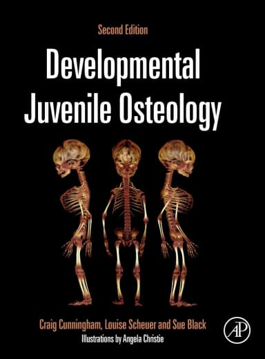 Image of - Developmental Juvenile Osteology 2nd Edition | Hardcover