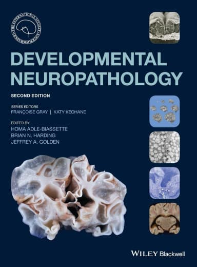 Image of - Developmental Neuropathology | 2nd Edition | Hardcover