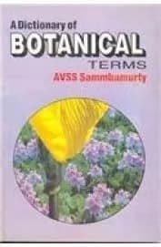 Image of - A Dictionary of Botanical Terms | Hardcover