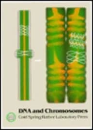 Image of - DNA and Chromosomes (CHS Symposia on Quantitative Biology | Volume LVIII)