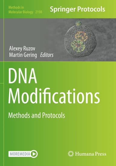 Image of - Dna Modifications Methods And Protocols | Paperback