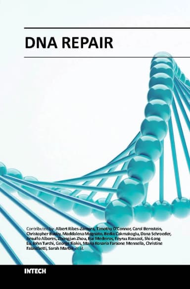 Image of - Dna Repair | Hardcover