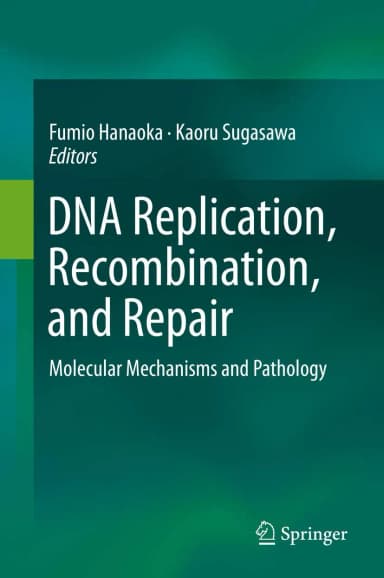 Image of - DNA Replication | Recombination | and Repair | Hardcover