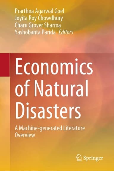 Image of - Economics Of Natural Disasters A Machine Generated Literature Overview | Hardcover