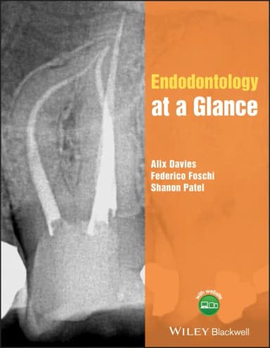 Image of - Endodontology At A Glance | Paperback