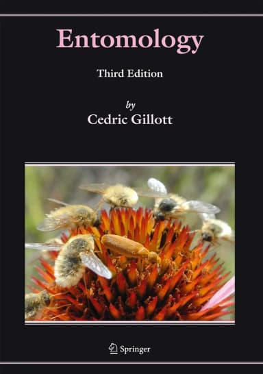 Image of - Entomology | Third Edition | Paperback
