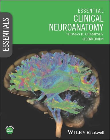 Image of - Essential Clinical Neuroanatomy 2nd Editiond | Paperback