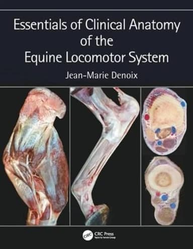 Image of - Essentials of Clinical Anatomy of the Equine Locomotor System | Hardcover