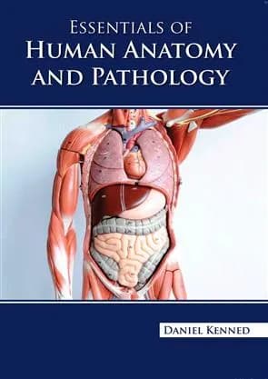 Image of - Essentials Of Human Anatomy and Pathology | Hardcover