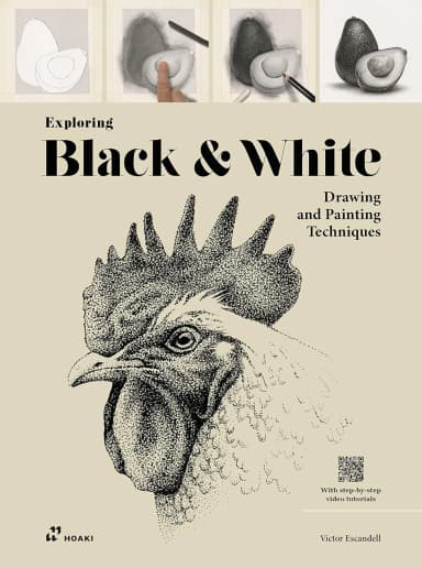 Image of - Exploring Black And White Drawing And Painting Techniques | Paperback