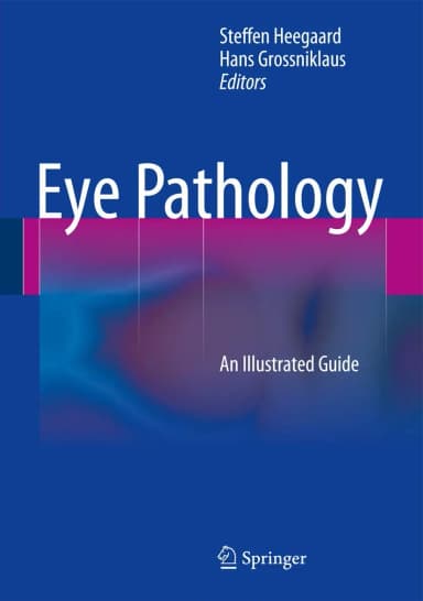Image of - Eye Pathology An Illustrated Guide | Hardcover