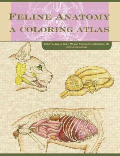 Image of - Feline Anatomy A Coloring Atlas | Hardcover