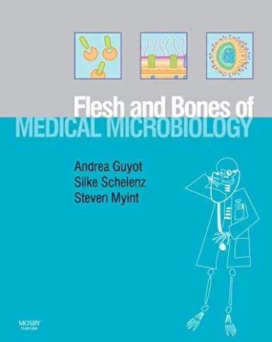 Image of - Flesh and Bones of Medical Microbiology | Paperback