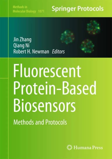Image of - Fluorescent Protein-Based Biosensors Methods and Protocols | Hardcover