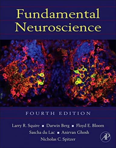 Image of - Fundamental Neuroscience | 4th Edition | Hardcover