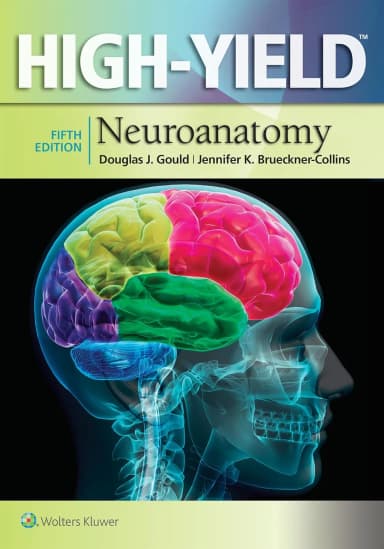 Image of - High-Yield Neuroanatomy | 5th Edition | Paperback