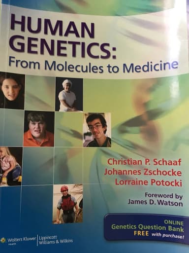 Image of - Human Genetics From Molecules to Medicine | Paperback
