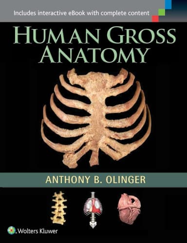Image of - Human Gross Anatomy | Paperback