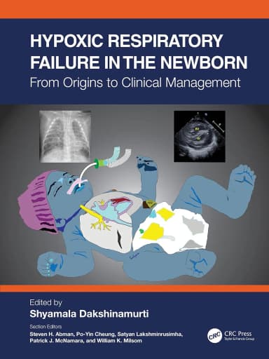 Image of - Hypoxic Respiratory Failure In The Newborn From Origins To Clinical Management | Hardcover