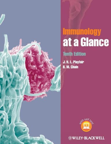 Image of - Immunology at a Glance | 10th Edition | Paperback