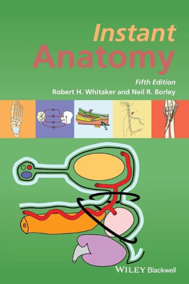 Image of - Instant Anatomy | Paperback