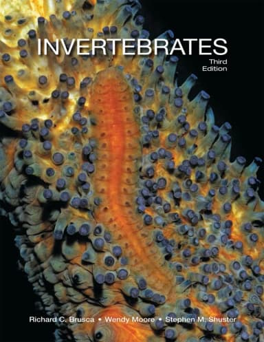 Image of - Invertebrates | Third Edition | Hardcover