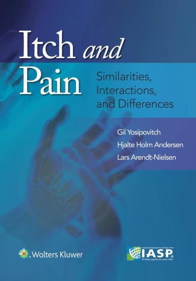 Image of - Itch and Pain Similarities Interactions and Differences | Paperback