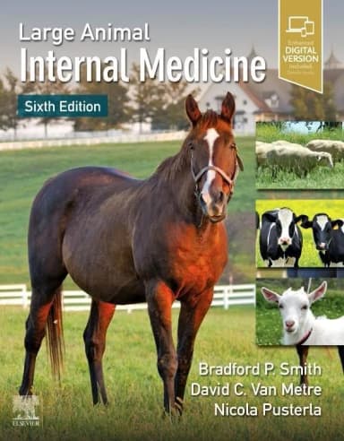 Image of - Large Animal Internal Medicine | 6th Edition | Hardcover