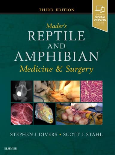 Image of - Mader's Reptile and Amphibian Medicine and Surgery | Third Edition | Hardcover