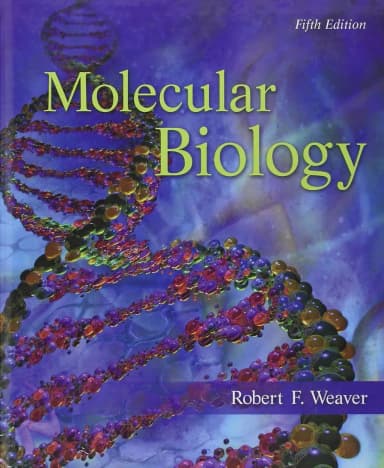 Image of - Molecular Biology | 5th Edition (IE) | Paperback