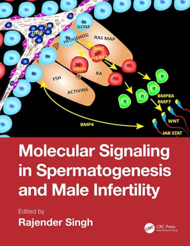 Image of - Molecular Signaling in Spermatogenesis and Male Infertility | Hardcover