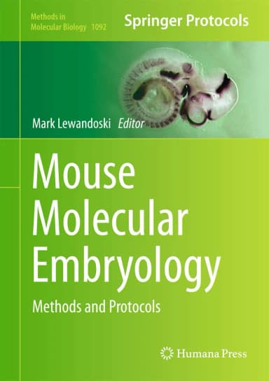 Image of - Mouse Molecular Embryology Methods and Protocols | Hardcover